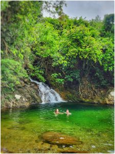 Dream spring with Da Nang motorbike tours