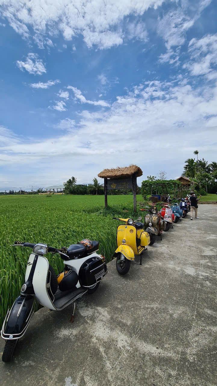 Hoi An countryside Vespa tour through rice fields