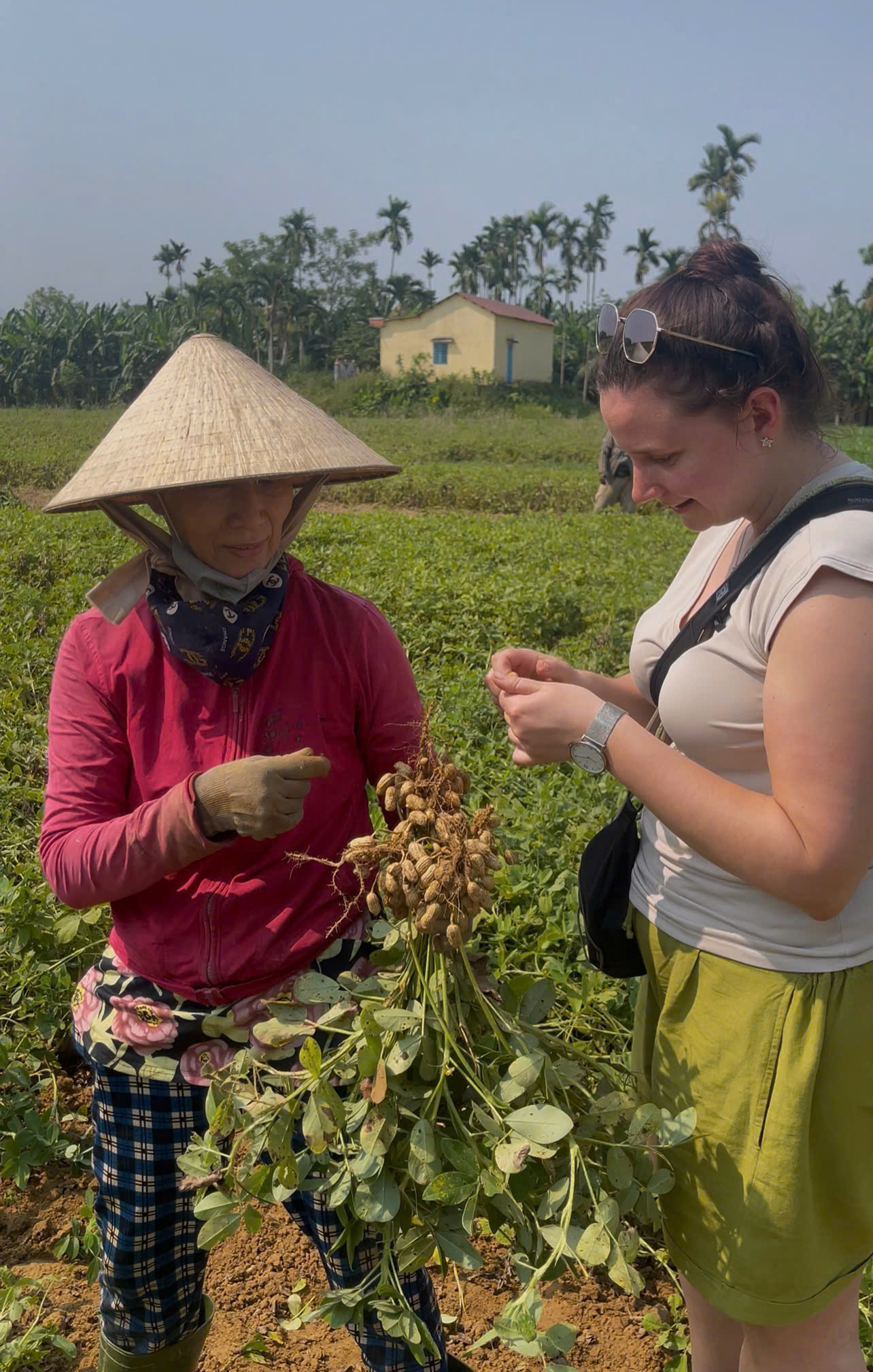 Meet Local Farmer in Hoi An countryside