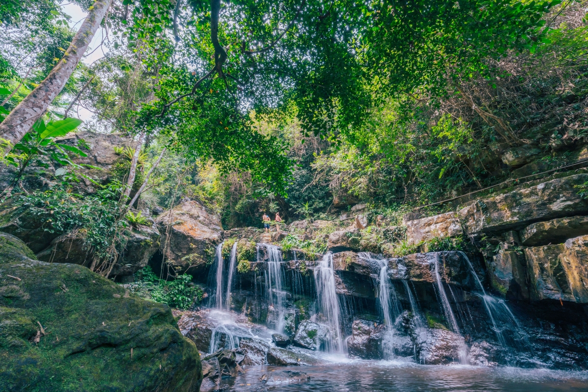 Rainforest trail inside Phong Nha Botanical Garden