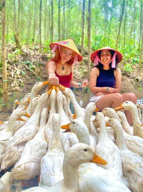 Travellers interacting with ducks at The Duck Stop in Bong Lai Valley
