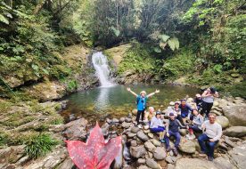 Bach Ma Summit & Waterfall Discovery Hiking tour