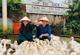 Ride Phong Nha: Your 1-Day Motorbike Loop Through Jungles, Caves & Sunset Valleys